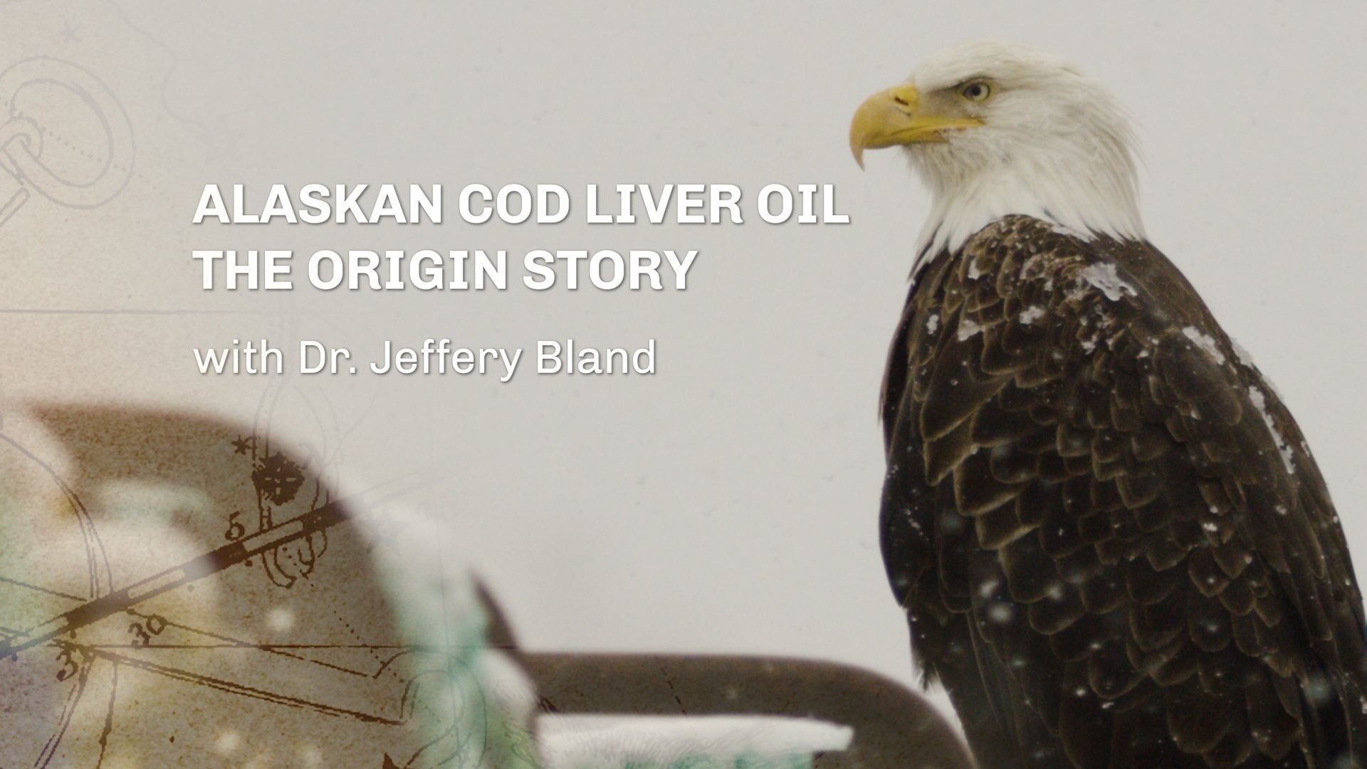 Jigsaw Alaskan Cod Liver Oil: The Origin Story