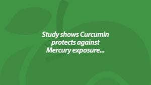 Study shows Curcumin protects against Mercury exposure...