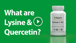 What are Lysine and Quercetin in the Pureway-C Plus?